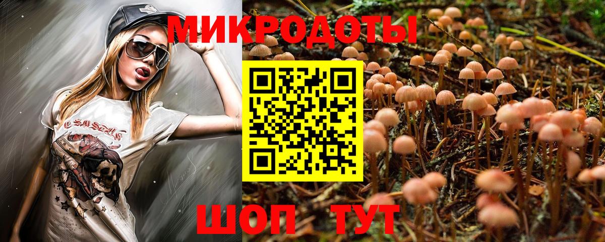 Галлюциногенные грибы мицелий  Псилоцибиновые грибы Psilocybine cubensis  Вход с VPN  Ивантеевка 