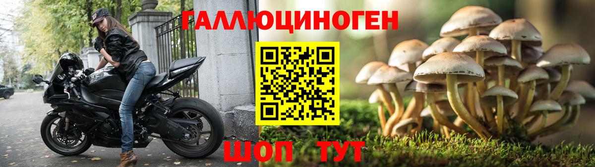Псилоцибиновые грибы Cubensis Ивантеевка
